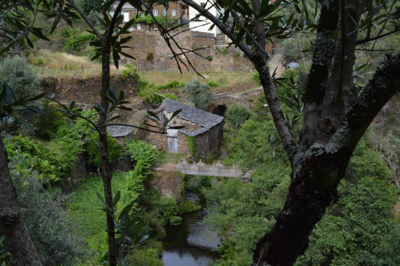 Casa Do Amieiro, Cantinho Do Ceu Holiday home *