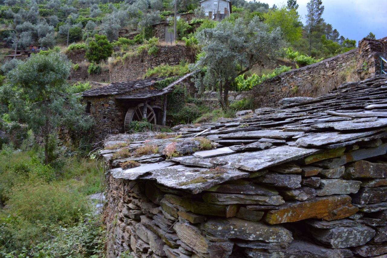 Casa Do Amieiro, Cantinho Do Ceu Holiday home