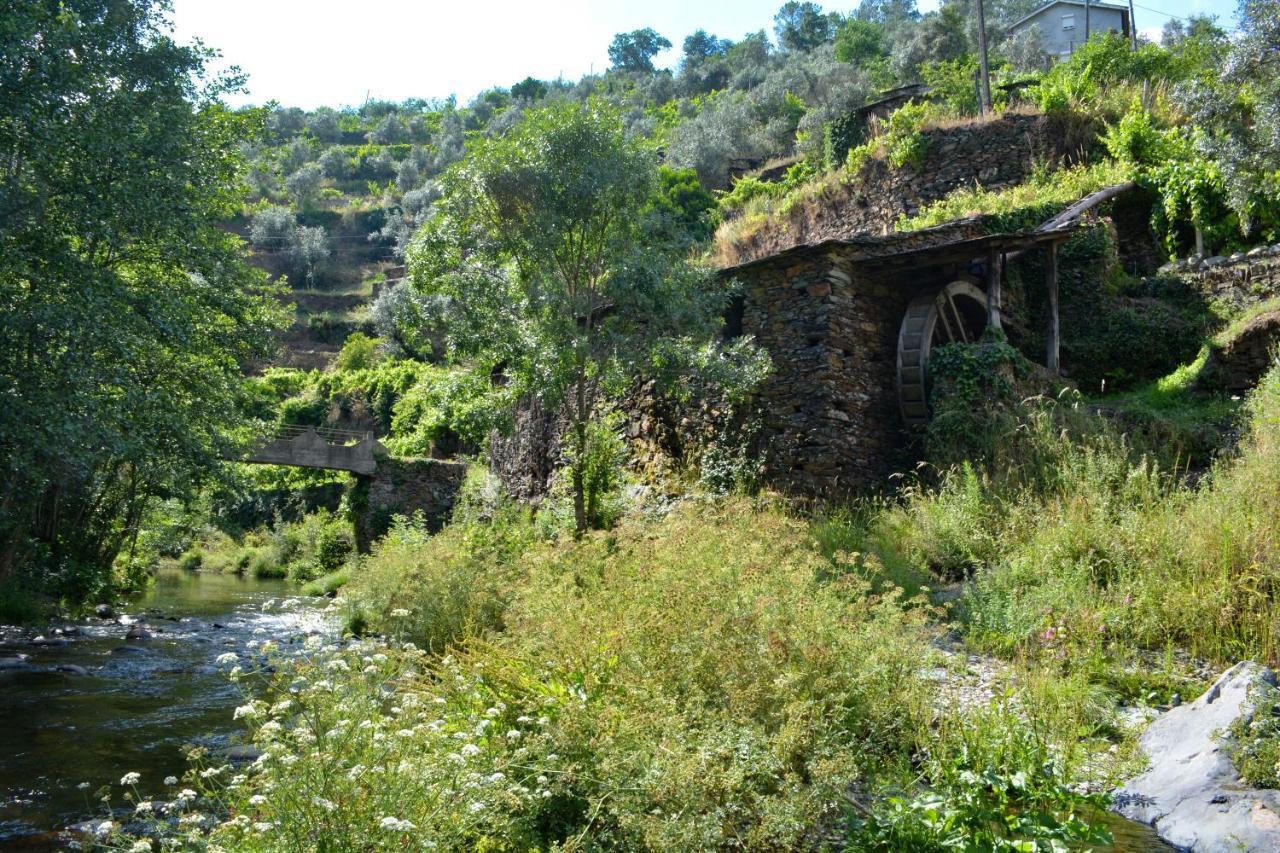 Casa Do Amieiro, Cantinho Do Ceu Holiday home